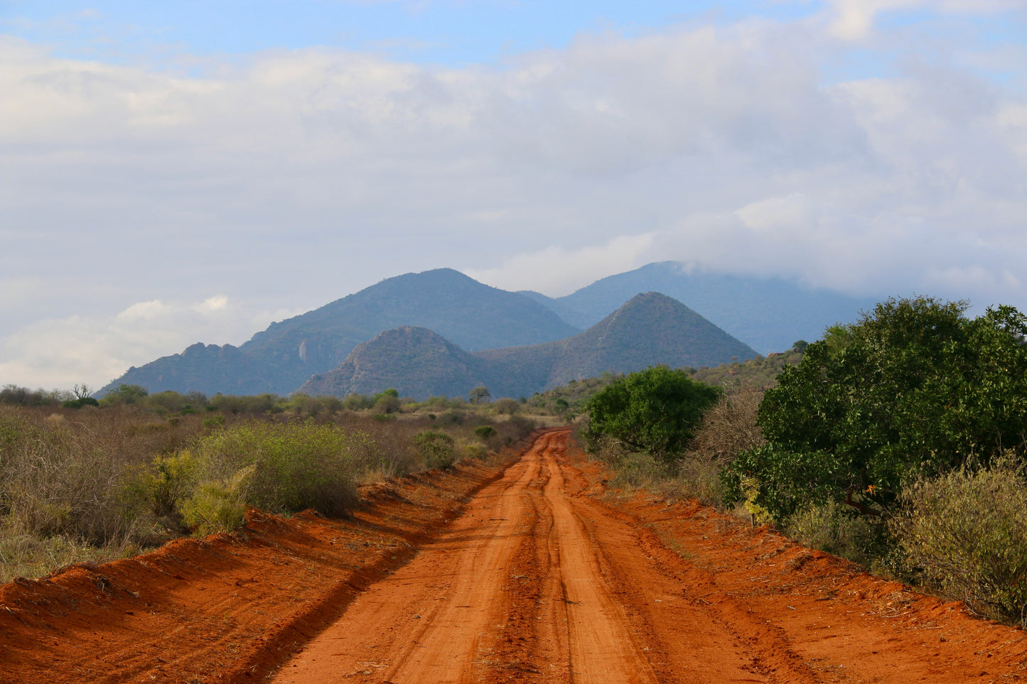 Kenya Kihuyo Nyeri