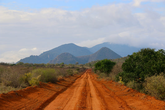 Kenya Kihuyo Nyeri